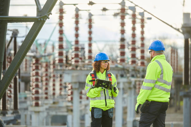 Best Home Electrical Repair  in Paulding, OH